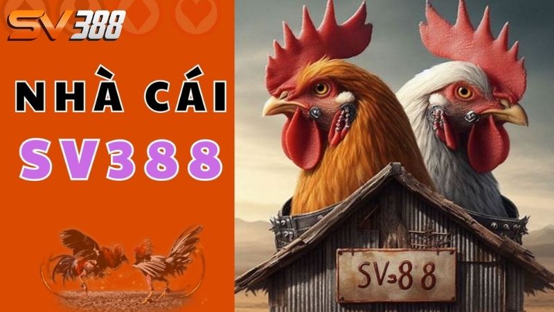 Tài khoản dùng thử SV388